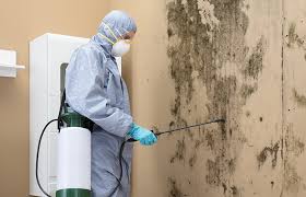 Best Commercial Mold Inspection  in Norwalk, OH